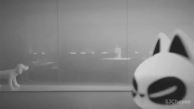 一纪轮回 | 共生的旧邻新巢