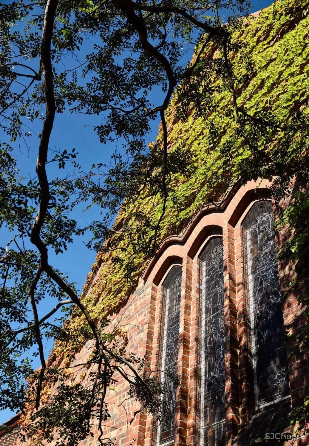 Mardi Doherty新作 | 克制和优雅的理念