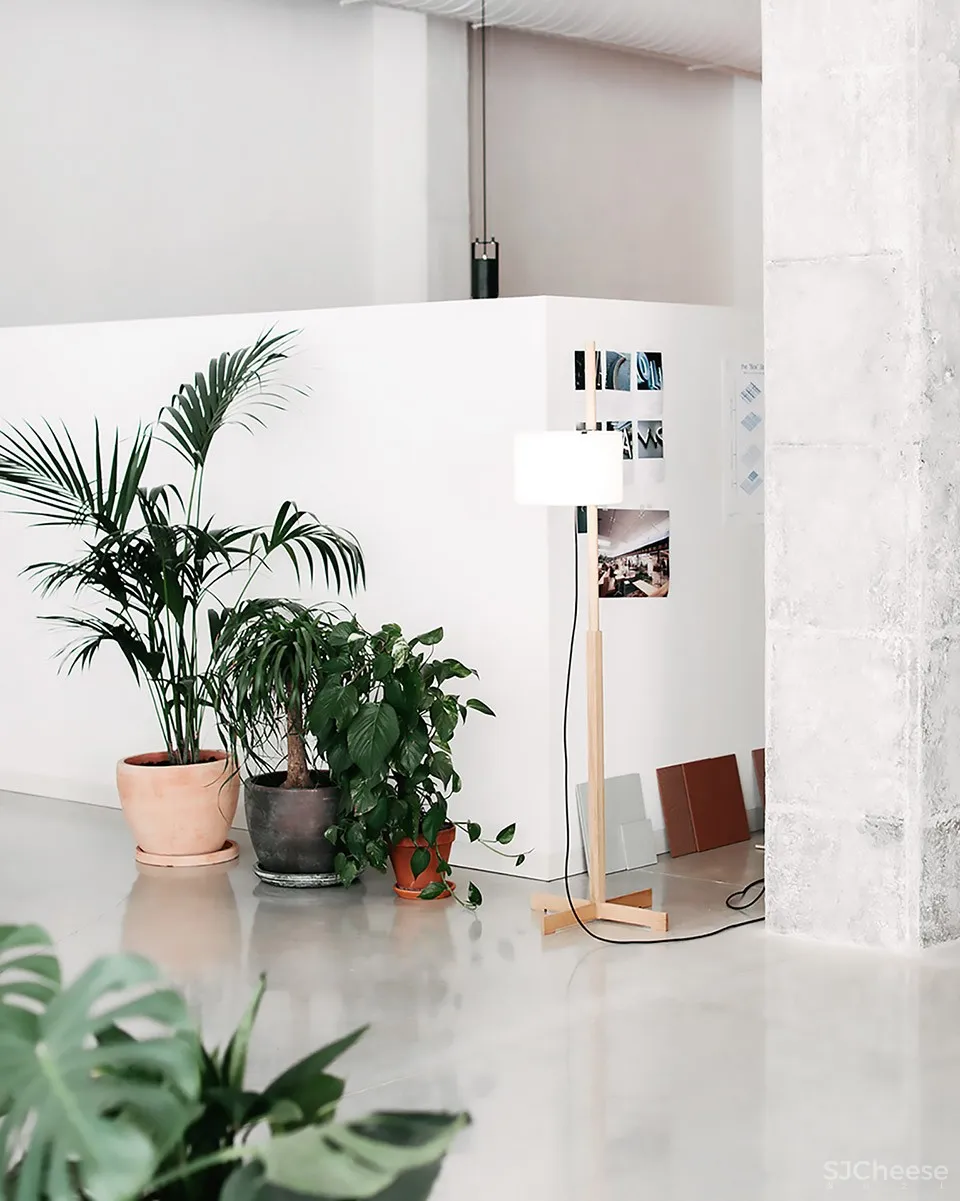 MESURA新办公空间,巴塞罗那 / MESURA