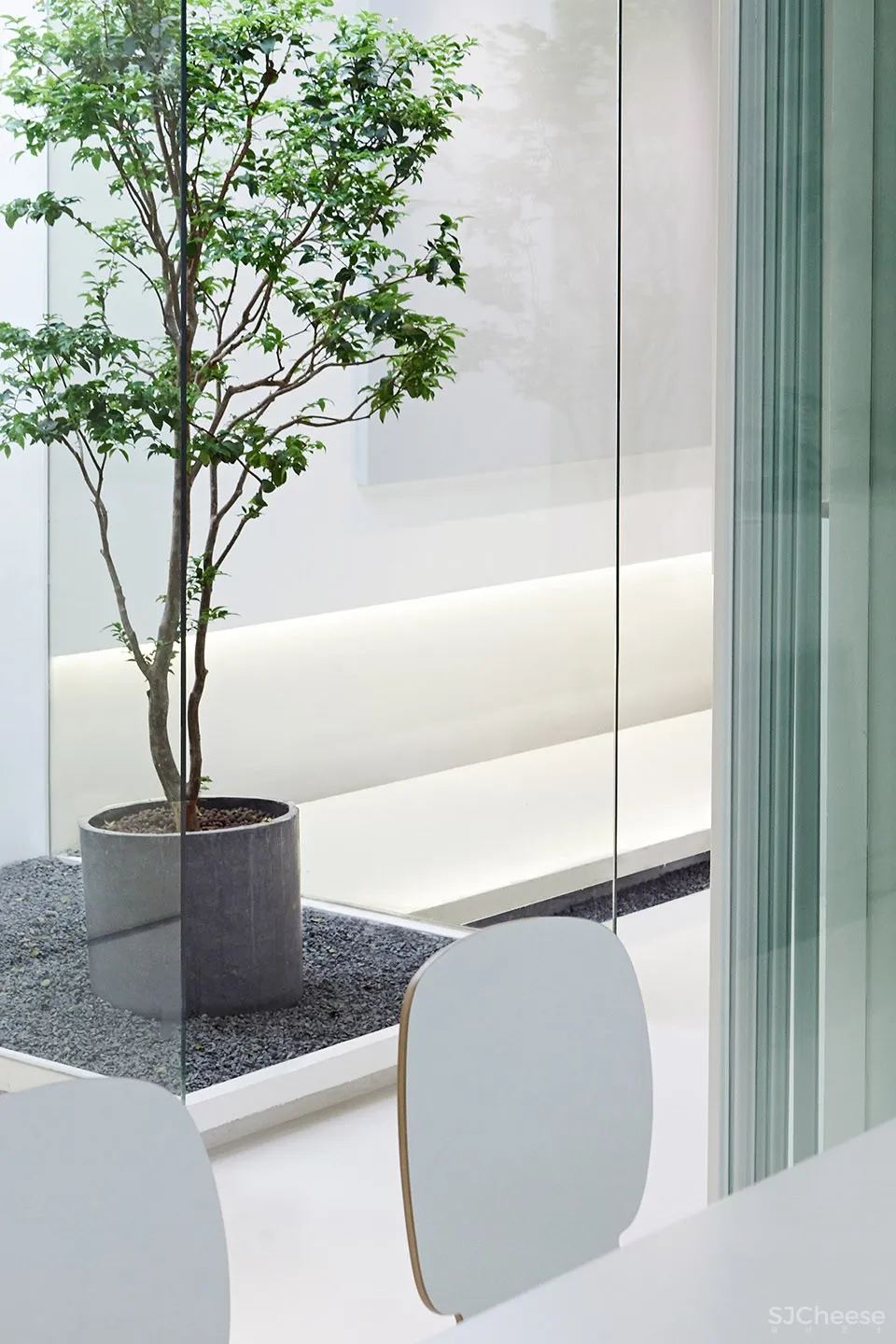 每个人的花园 – 生态办公室改造，上海 /目心设计研究室