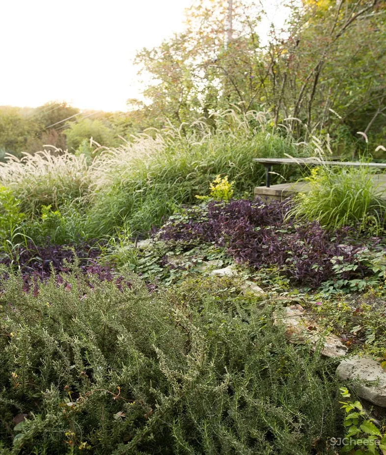 2018 ASLA住宅设计类杰出奖: Balcones住宅,美国奥斯汀 / Word + Carr Design Group