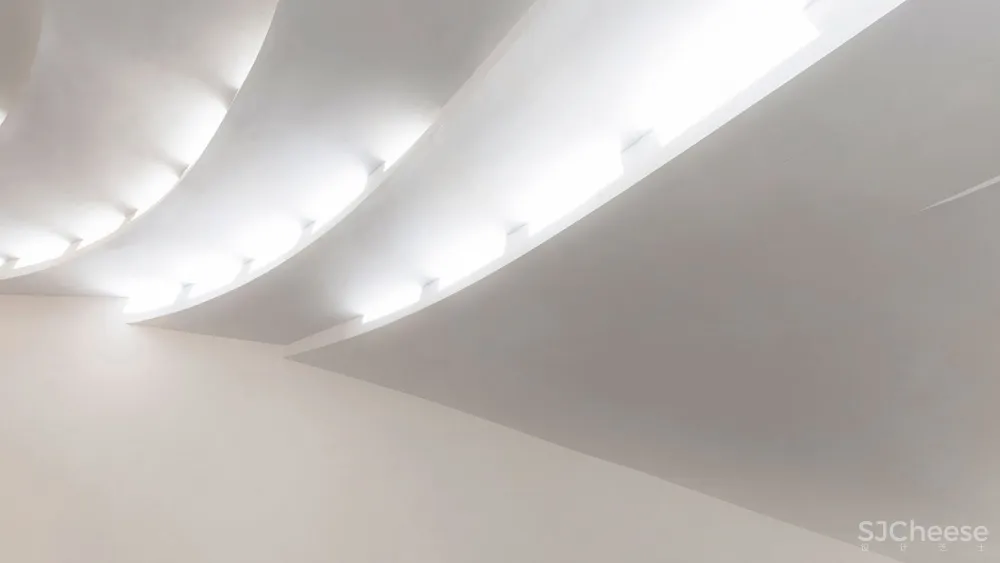 首发 | Reza Daneshmir & Catherine Spiridonoff:德黑兰Vali-e-Asr清真寺