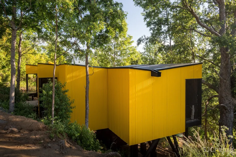 最新 | Alejandro Soffia:黄色屋子