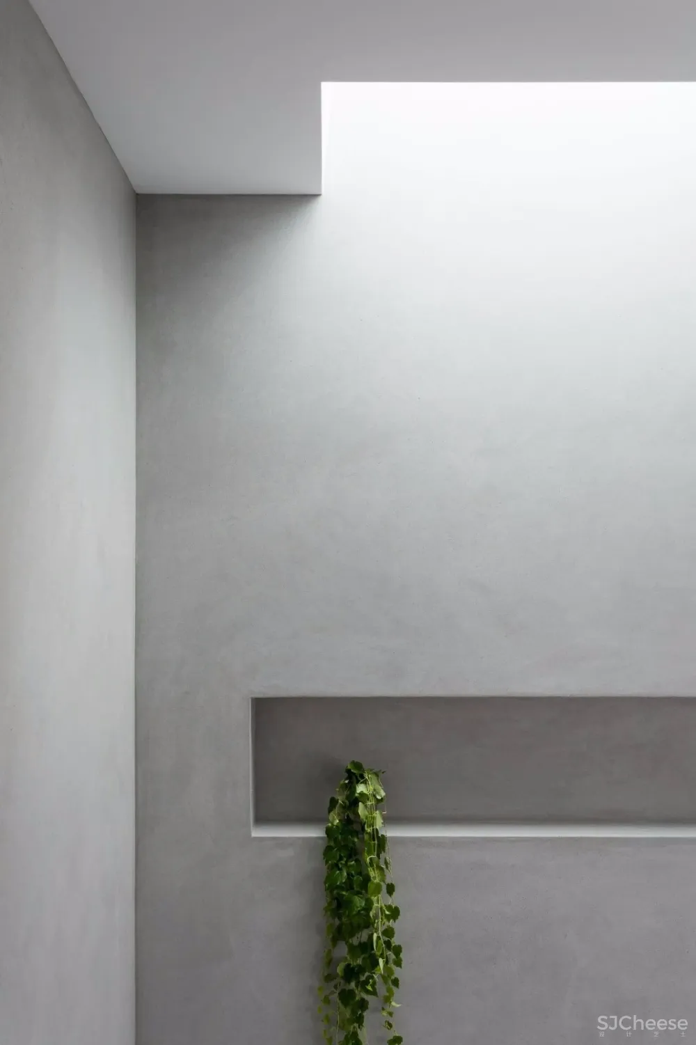 Watts Studio | 创造精致,清晰的生活