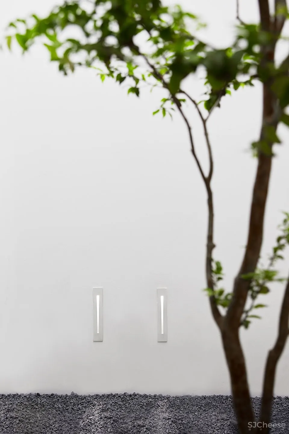 每个人的花园 – 生态办公室改造，上海 /目心设计研究室