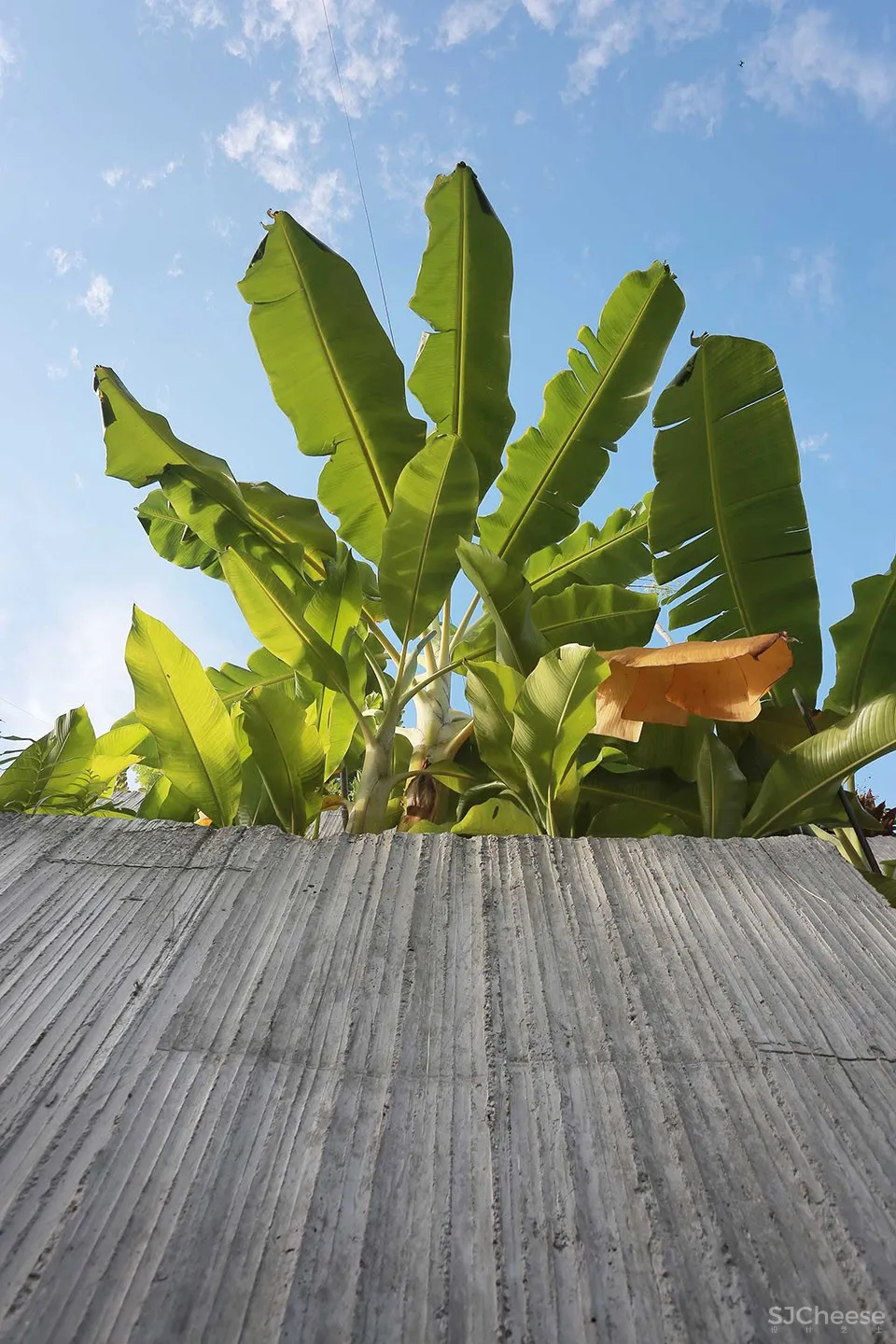 盆栽屋，吉隆坡 / Formzero