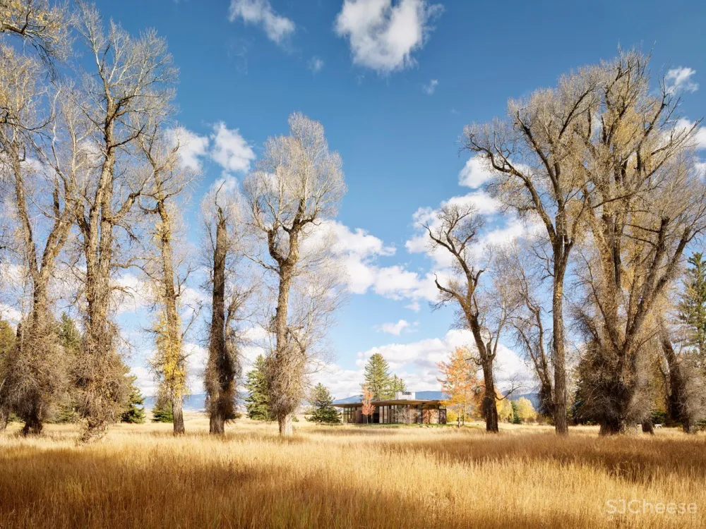 Queen’s Lane Pavilion / Carney Logan Burke Architects