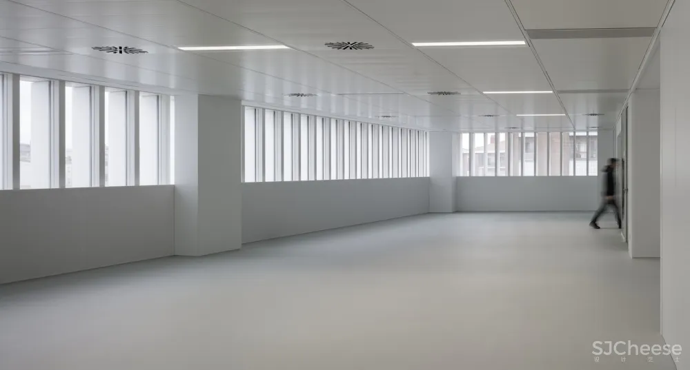 BioCruces 生物研究所总部/IDOM