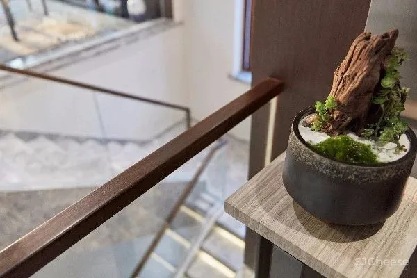 BLG(熙昂)作品丨东方院子的中式美学