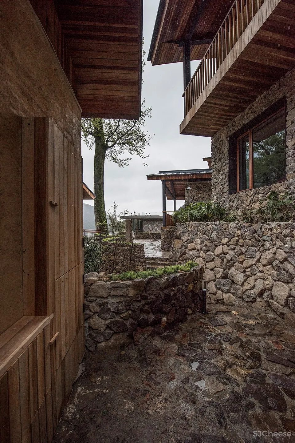 松阳原舍 · 揽树山房 / gad · line+ studio