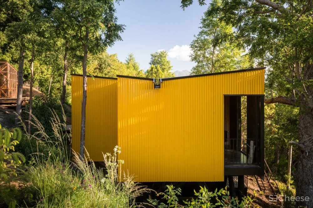 最新 | Alejandro Soffia:黄色屋子