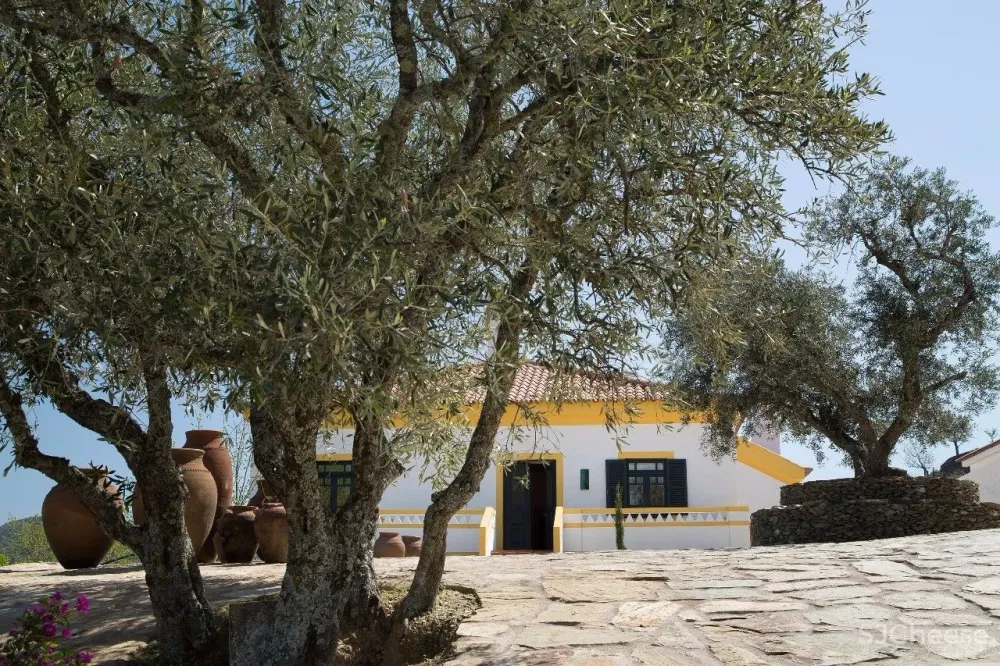 设计大师奇妙的色彩构成丨惊艳的设计全在于此