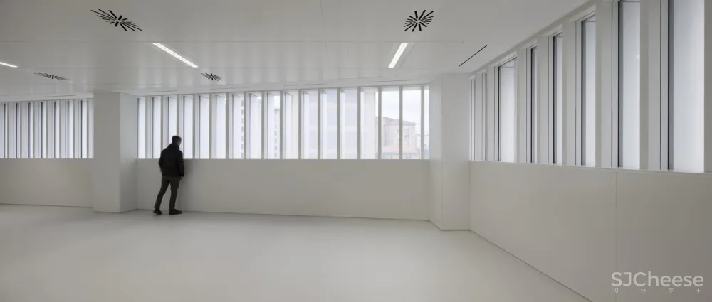 BioCruces 生物研究所总部/IDOM