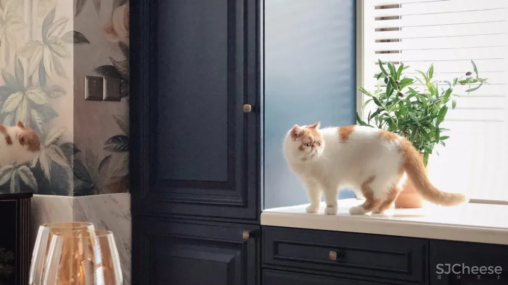 一位美妆博主的家,美极了!