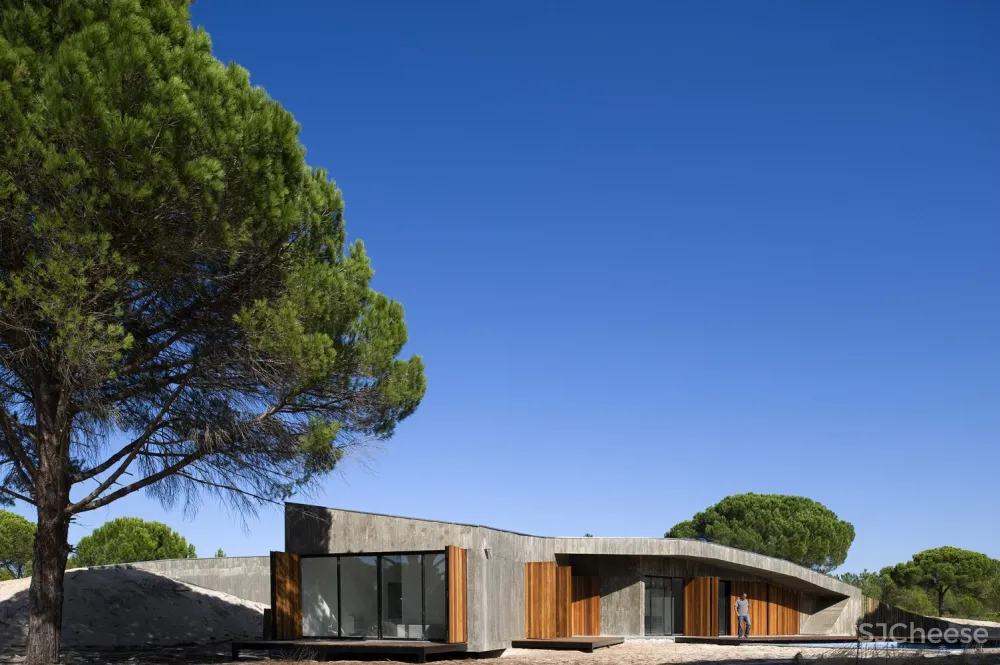 Pereira Miguel Arquitectos | 沙丘之家