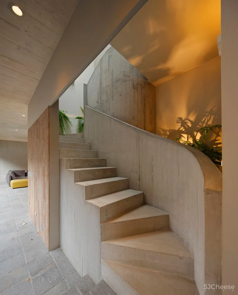 木盒之下 / Martin Dulanto Arquitecto