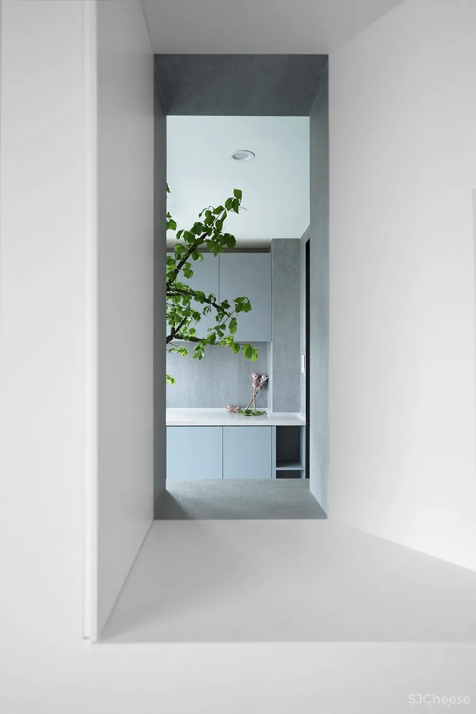 素胚静舍,浙江 / 朴居空间 + 无研空间