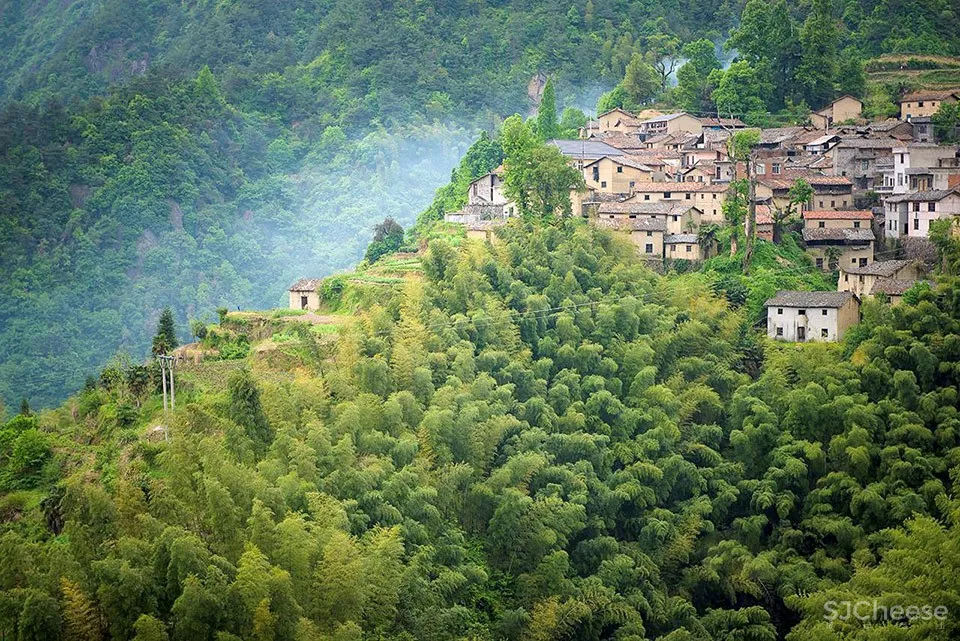 松阳原舍 · 揽树山房 / gad · line+ studio