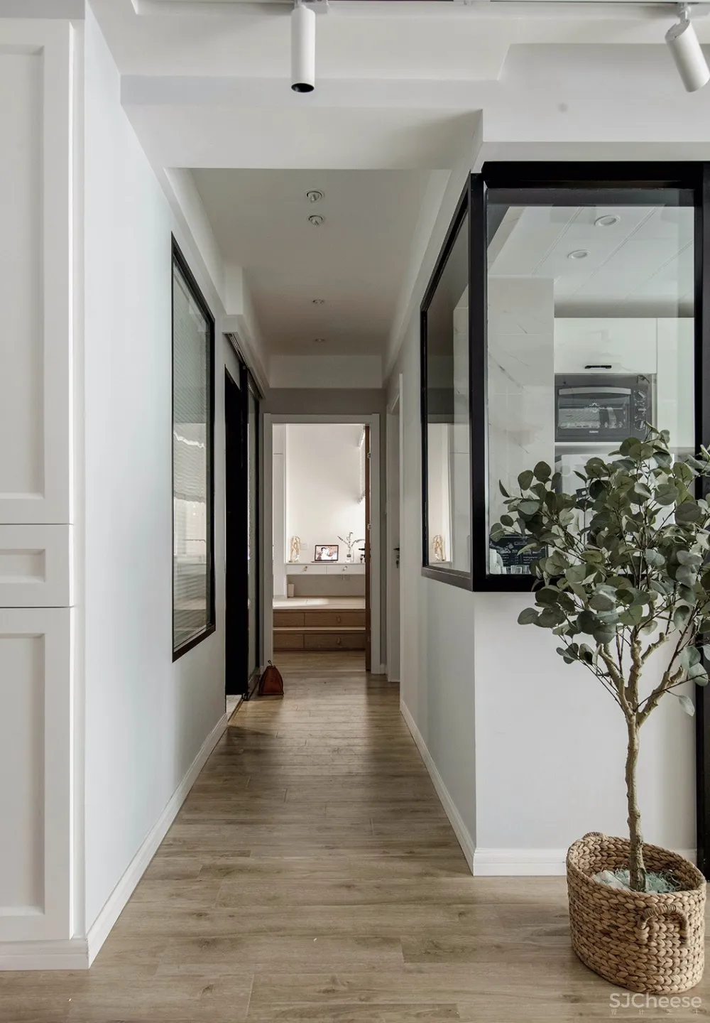 两个日系女孩在60㎡小屋丨收纳进了满房杂物,还有4只猫咪主子