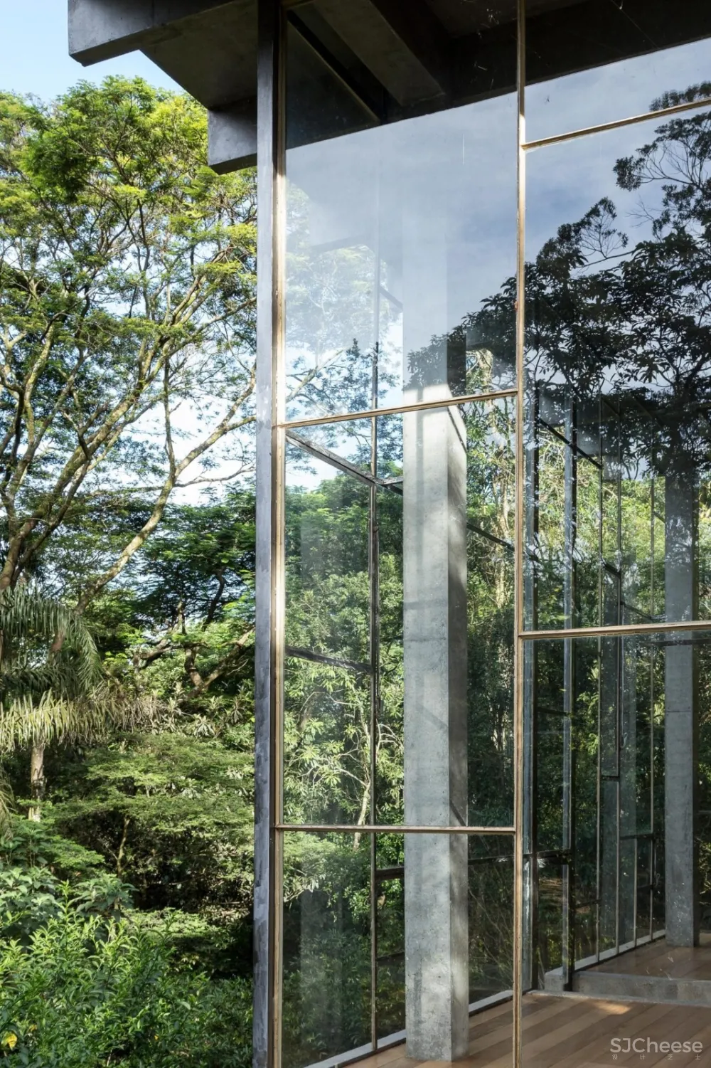 首发 | ATELIER BRANCO:隐匿在绿色森林之中的巴西图书馆