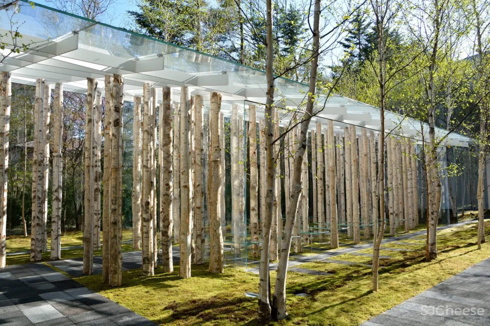 桦树苔藓教堂，日本 / 隈研吾建筑都市设计事务所