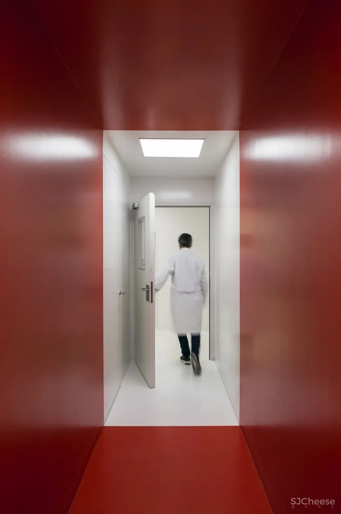 BioCruces 生物研究所总部/IDOM