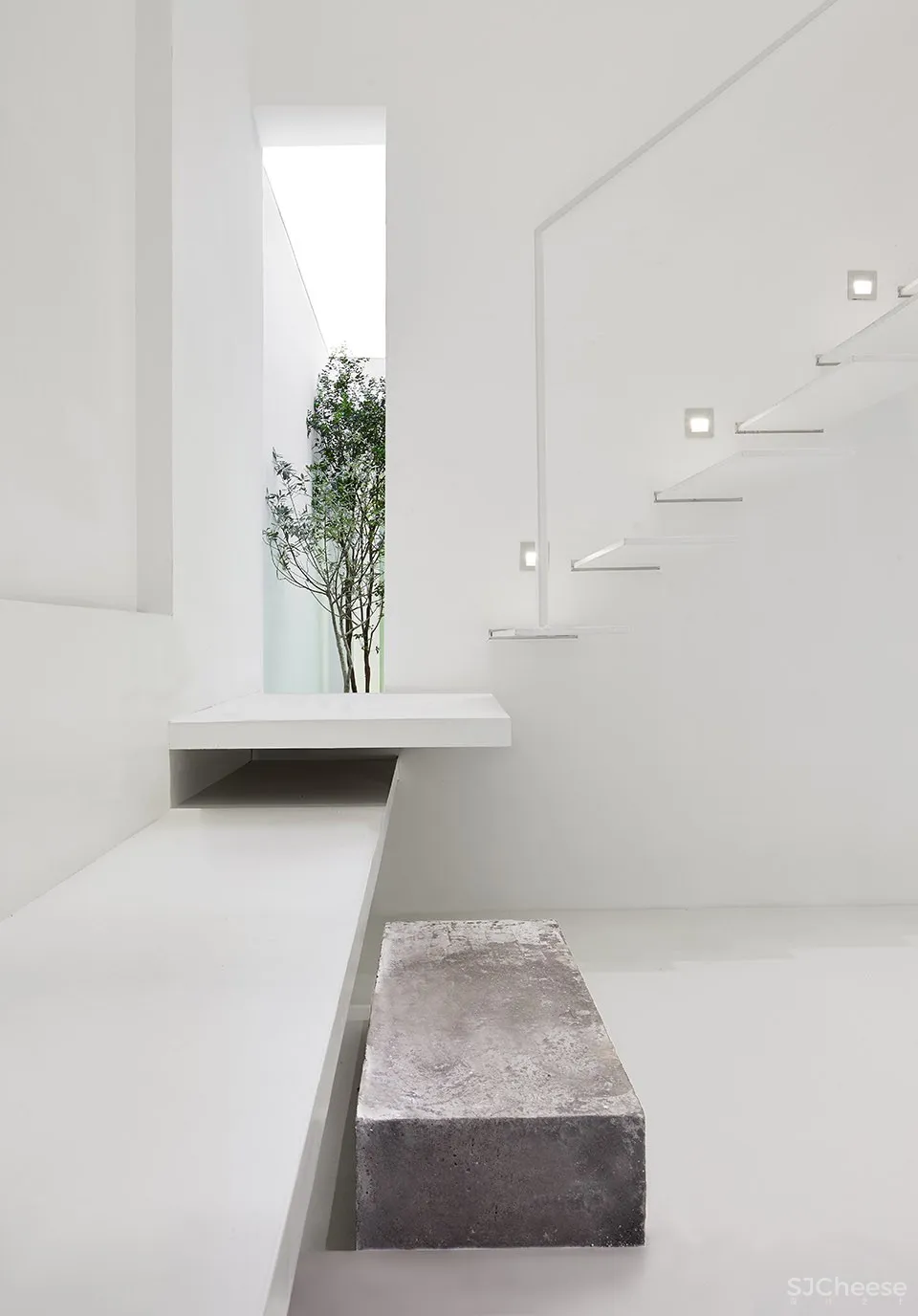 每个人的花园 – 生态办公室改造，上海 /目心设计研究室