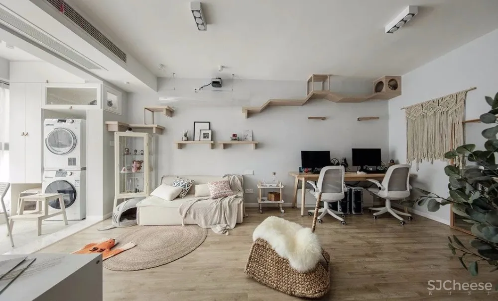 两个日系女孩在60㎡小屋丨收纳进了满房杂物,还有4只猫咪主子