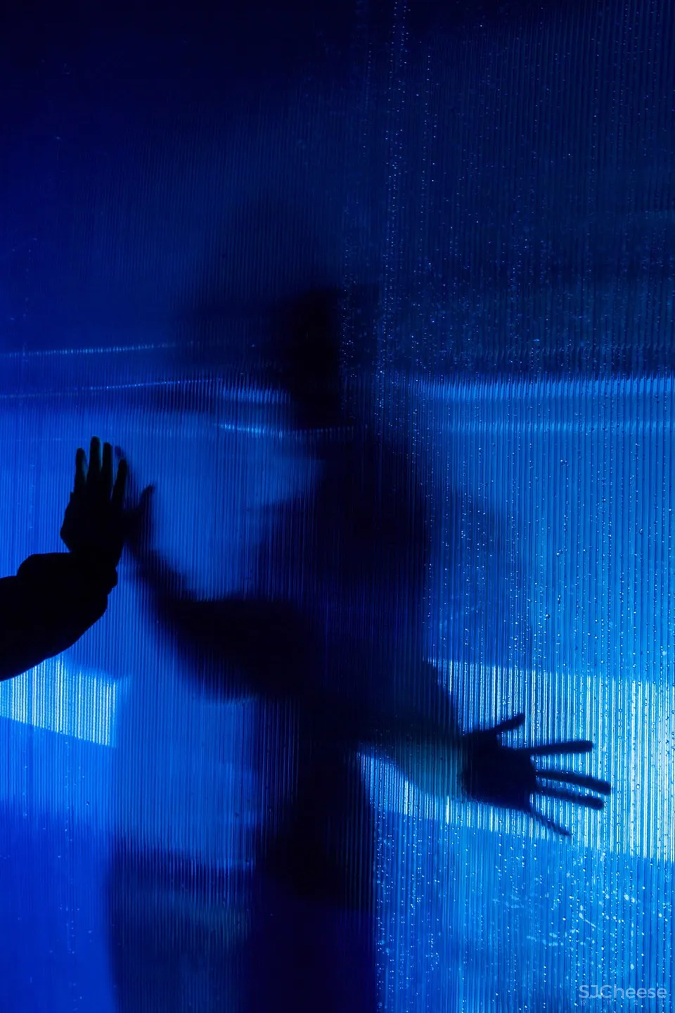 最新 | 积粟社:赶集 – 镜像·2018年广州设计周的积粟社