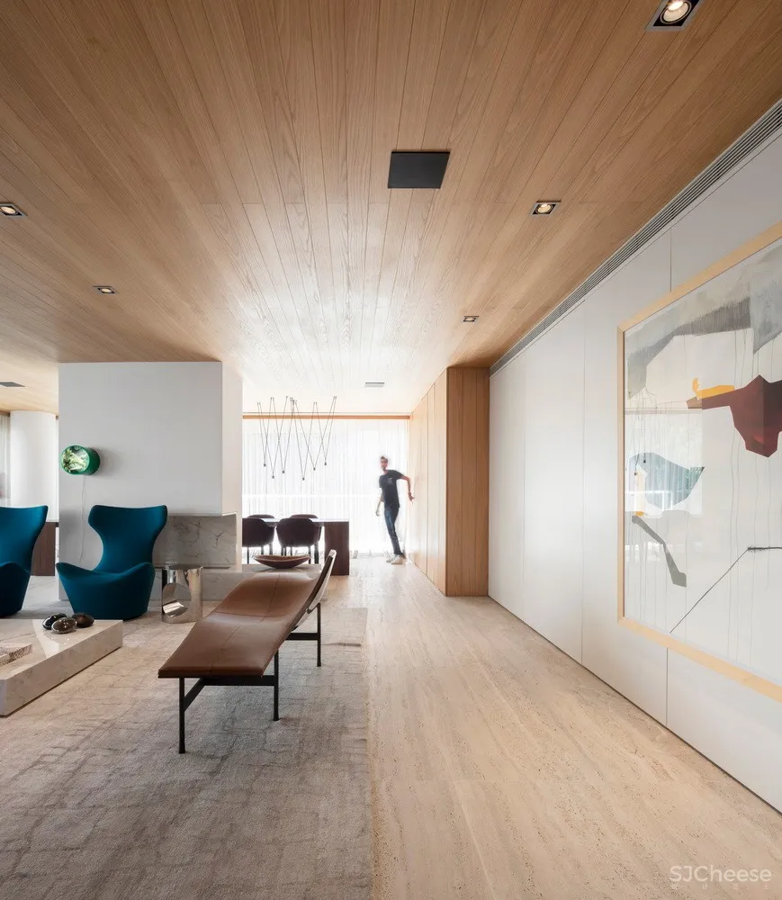 巴西现代极简艺术公寓 | Eretz Apartment