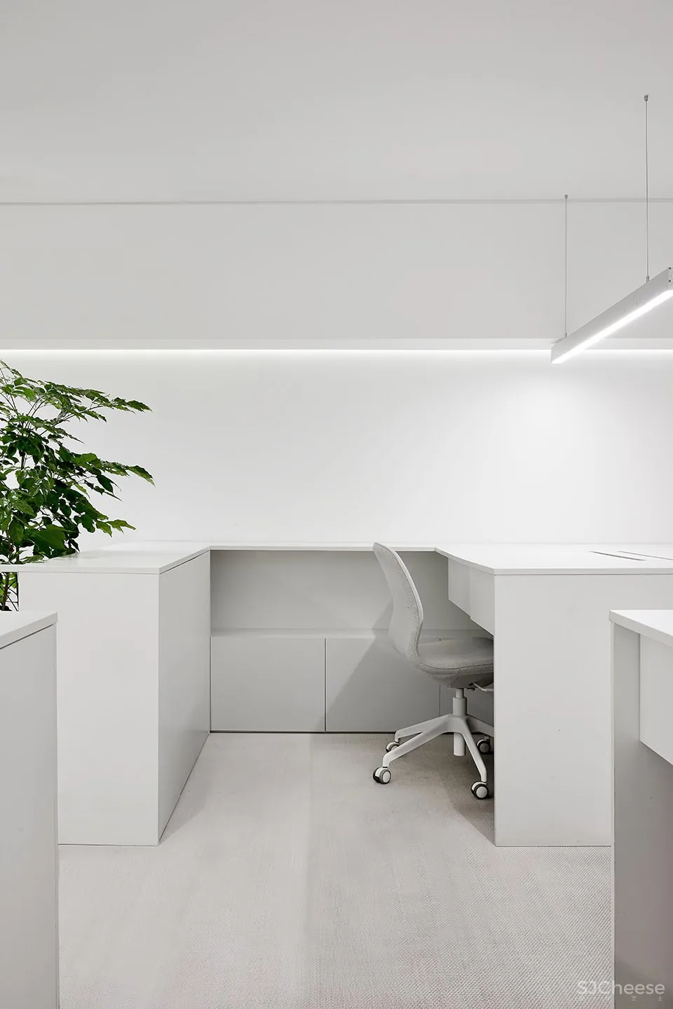 每个人的花园 – 生态办公室改造，上海 /目心设计研究室