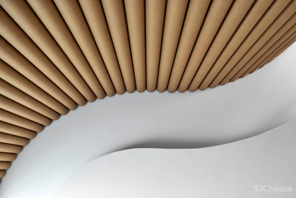 首发 | Branch Studio Architects:纸板管建立起经济美学教育空间