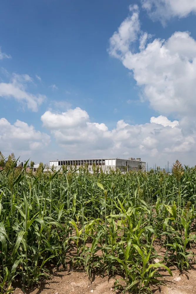 Commercial School Aguascalientes / Centro de Colaboración Arquitectónica + Rodrigo Valenzuela Jerez + Camilo Moreno