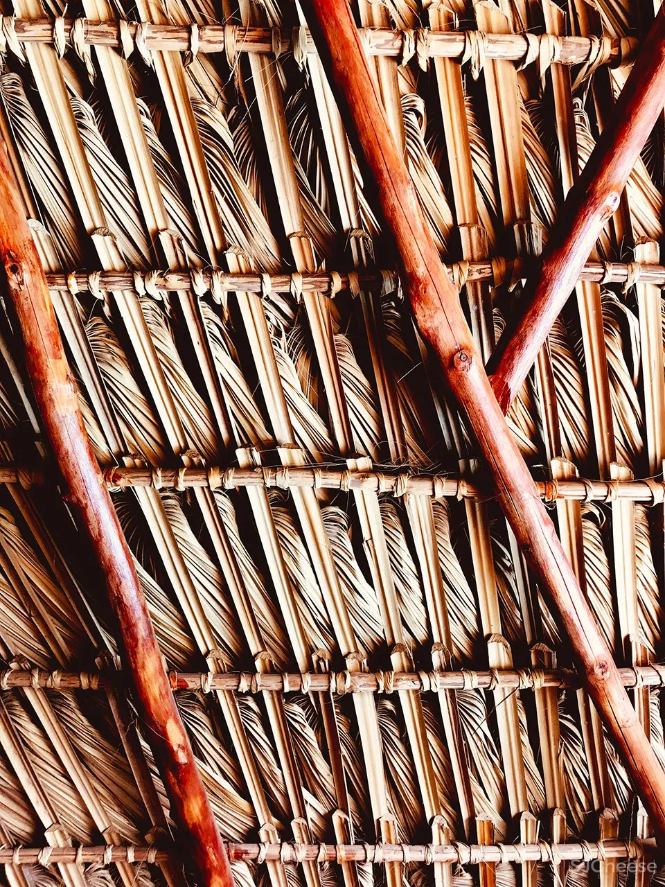 Swell冲浪与生活度假酒店，危地马拉 / Elan Ibghy + Marie Bonnefond