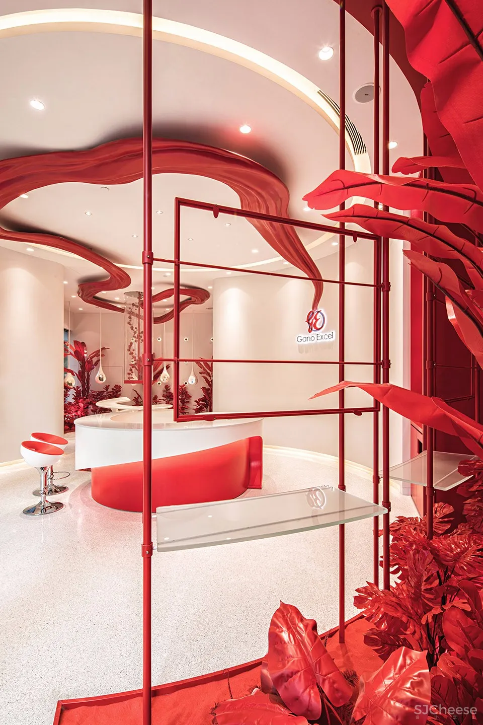 新作 | 香港映洋空间设计:深圳 雨林灵芝体验馆