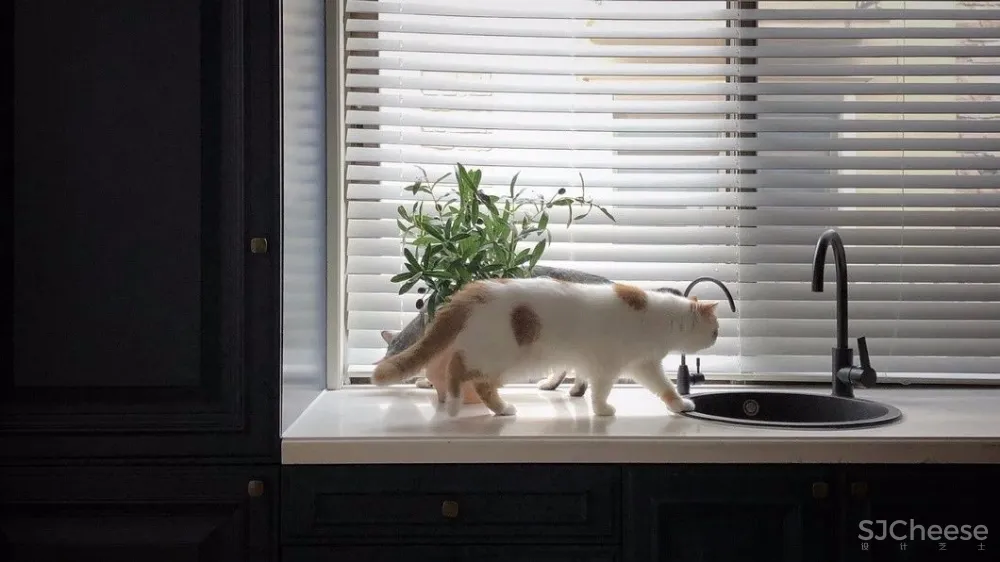 一位美妆博主的家,美极了!