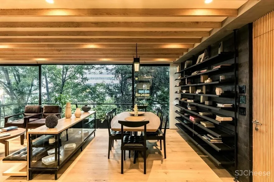 Penthouse in Magdalena, Mexico City / Taller David Dana