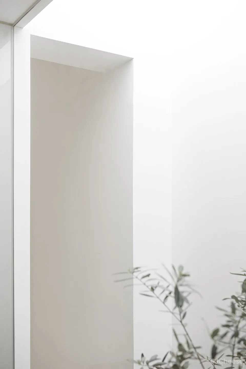 每个人的花园 – 生态办公室改造，上海 /目心设计研究室