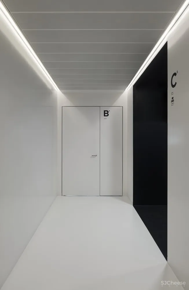 BioCruces 生物研究所总部/IDOM