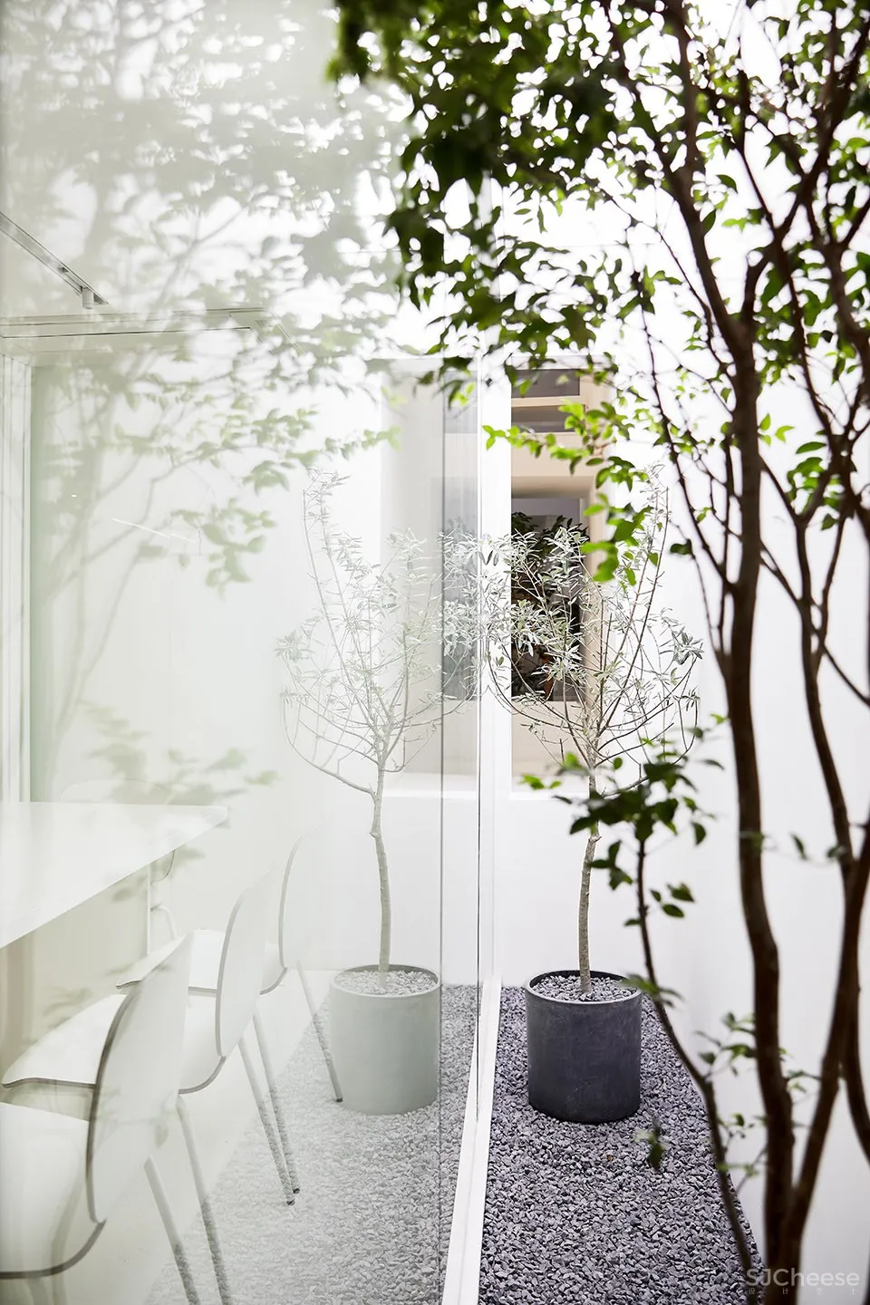 每个人的花园 – 生态办公室改造，上海 /目心设计研究室