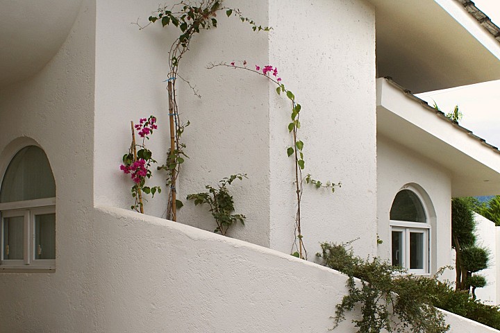 Babak Abnar:伊朗极简别墅改造