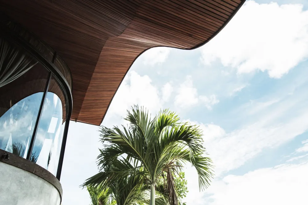 O宅，巴厘岛的艺术家住宅/ Alexis Dornier