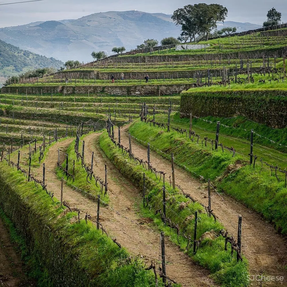 设计大师奇妙的色彩构成丨惊艳的设计全在于此