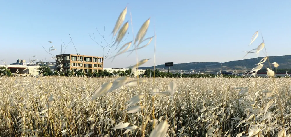 Empera公司总部大楼，土耳其 / Yerce Architecture + ZAAS