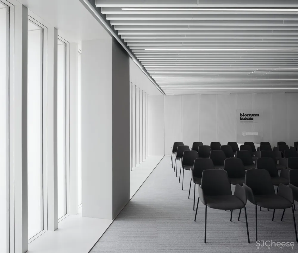 BioCruces 生物研究所总部/IDOM