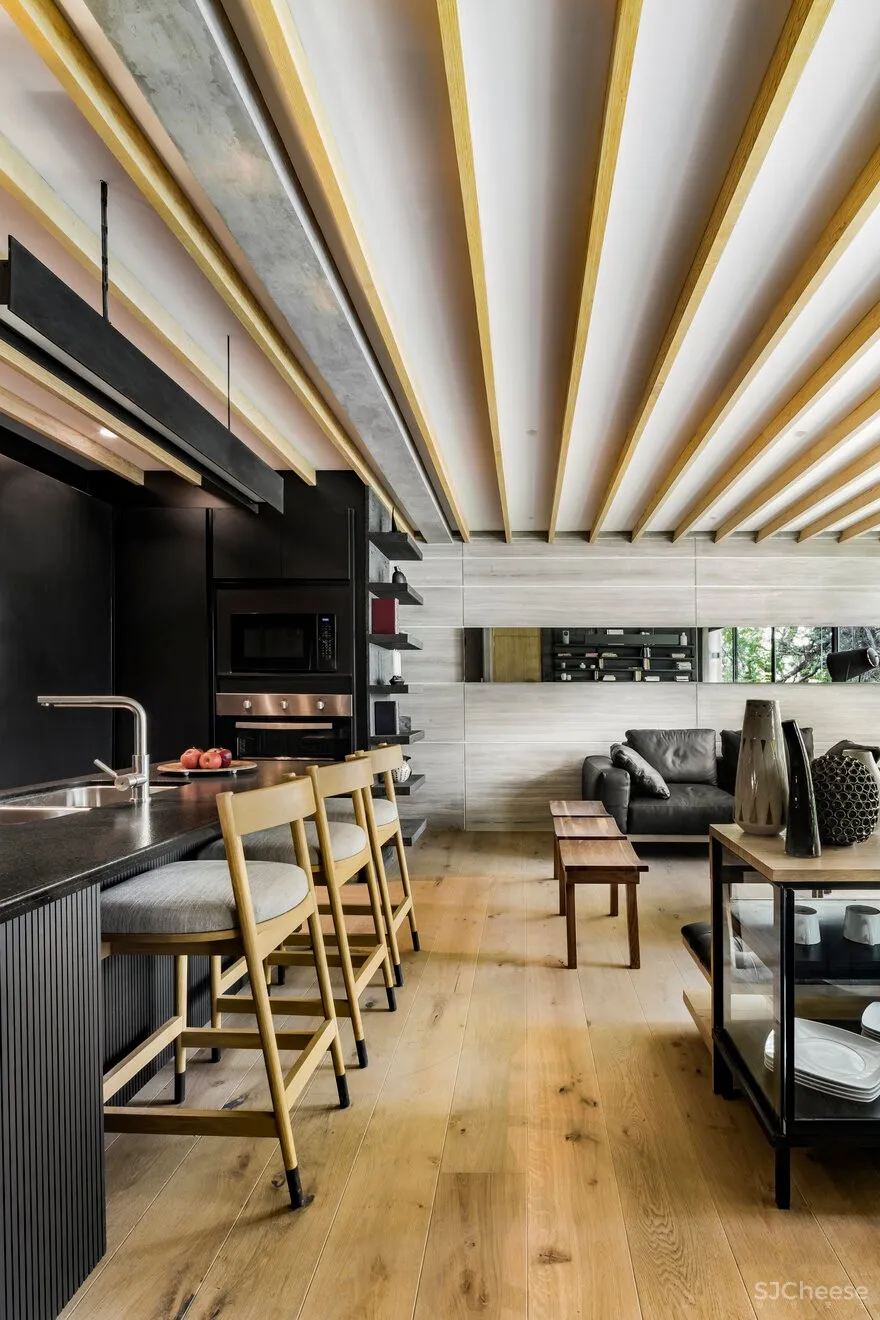 Penthouse in Magdalena, Mexico City / Taller David Dana