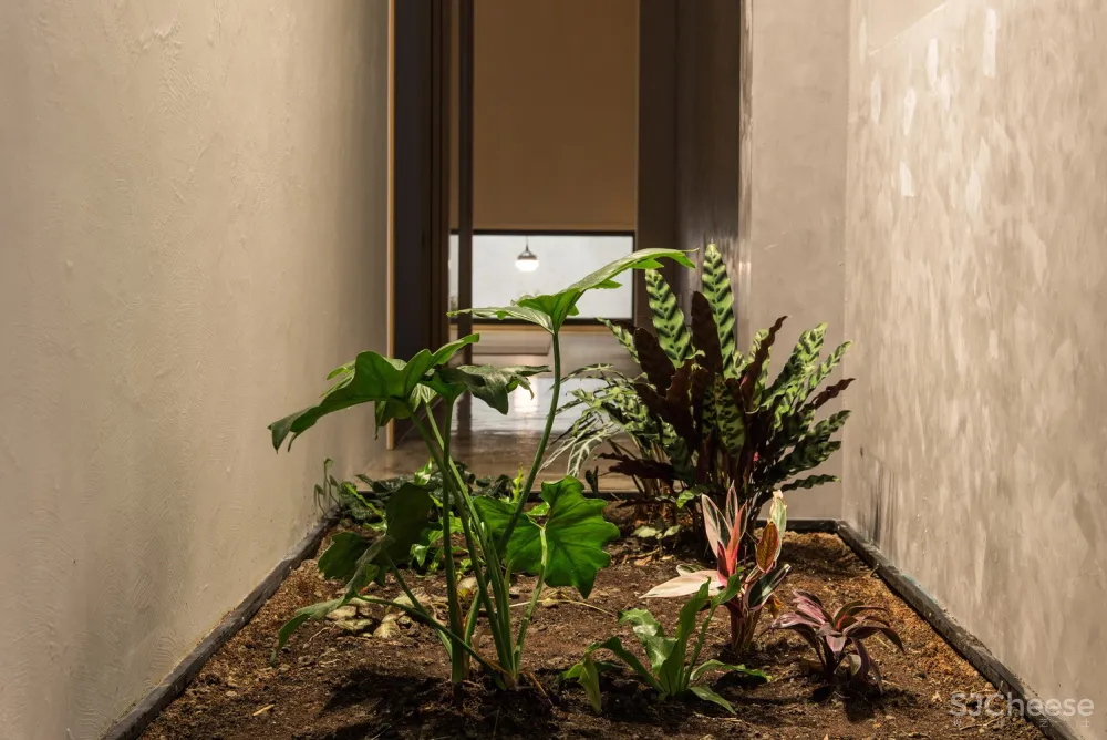 The Second Floor / Atelier Boter