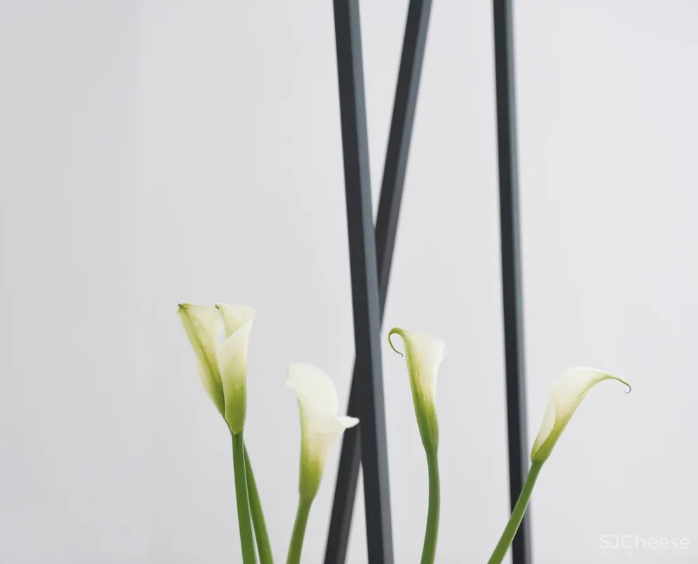 TC公寓,江苏 / 〇筑设计