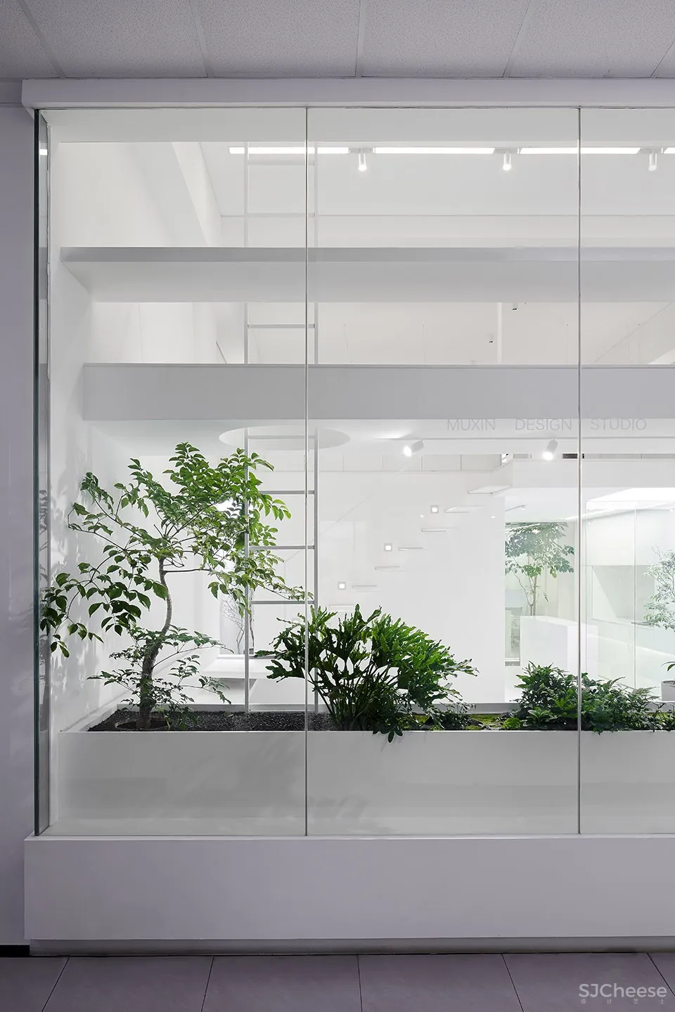 每个人的花园 – 生态办公室改造，上海 /目心设计研究室