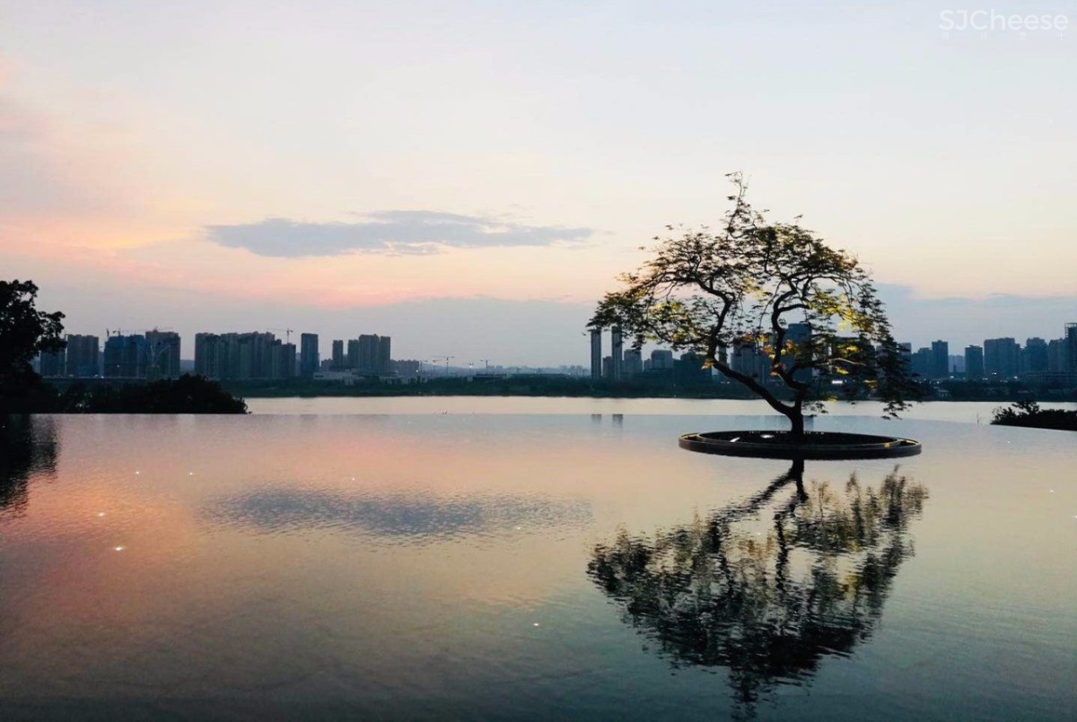 新作 | 唐忠汉:静美大地灰,错叠趣味的虚实与空灵
